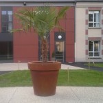 granpot_mago-urban02-150x150 - granpot - en béton Jardinière Mobilier urbain 