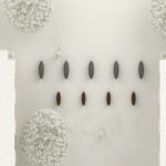 borne_covert_mu4-150x150 - covert (new) - Borne | Potelet | Limite 